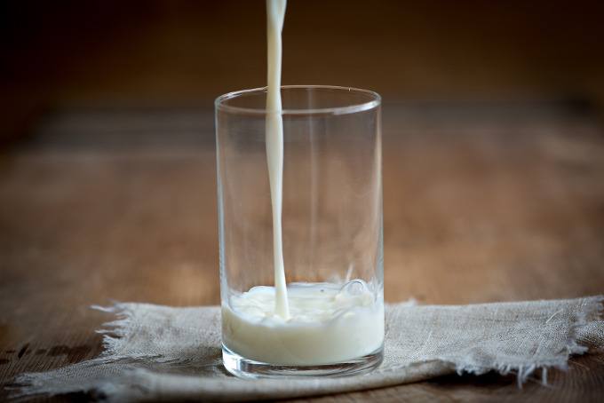 leite integral low carb